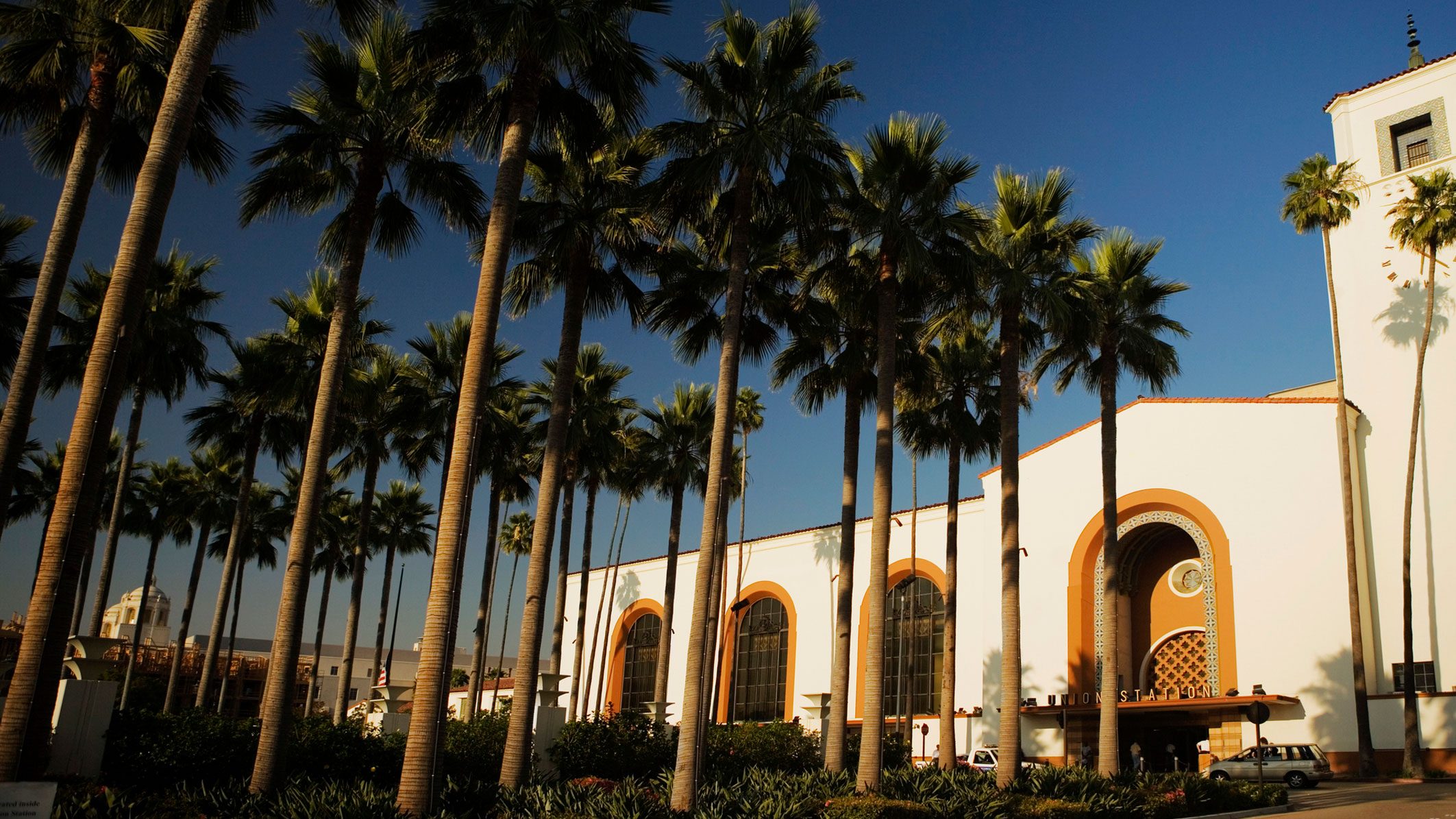 Palm trees stand tall and in line in front of a cantina-style building