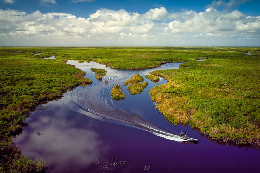 Adventure Into the Everglades